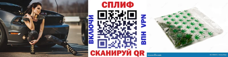 Конопля план  Короча 